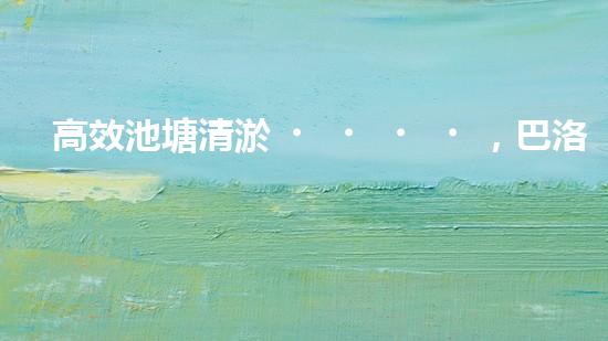 高效池塘清淤，巴洛仕設(shè)備助您一臂之力